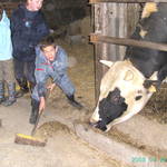 BILD0689.JPG