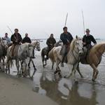 Camargue horsemen ride on Grau de Roi beach....