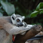 DSC_5864.jpg