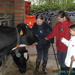 BILD0699.JPG
