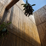 P1000058.JPG