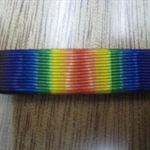 USRI0006--$100