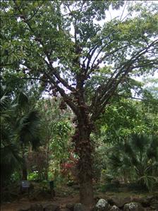 DSCF1868.JPG