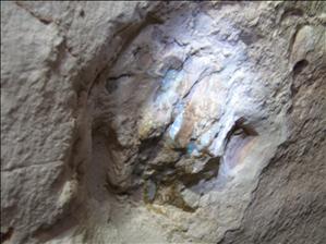 Real opal