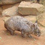 DSC00226.JPG