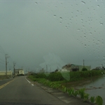 DSC01613.JPG