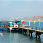 東龍洲南堂碼頭 Nam Tong Pier 