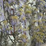 DSCN0112.JPG