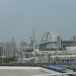 P1100815.JPG