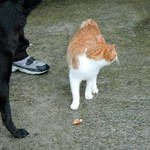 20120226-DSC_3862.jpg