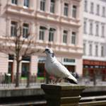 IMG_6221.JPG