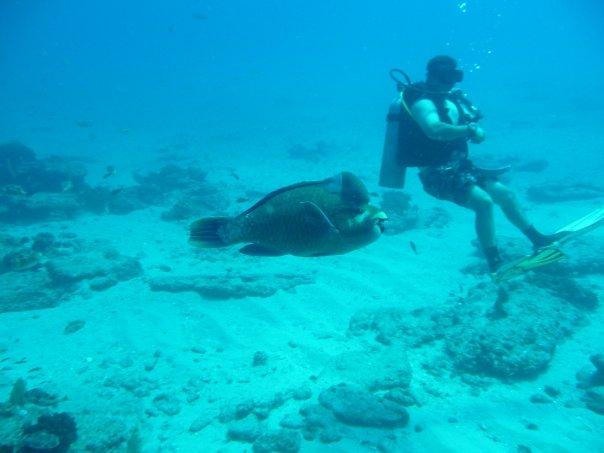 n581861735_1258560_8429[1].jpg