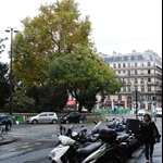 DSC00014.JPG