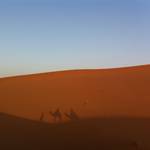 Shadows in the morning.JPG