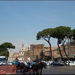 DSC02006.JPG