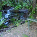 P1010219.JPG