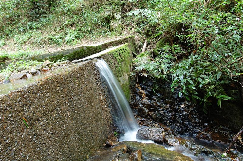 DSC_5450.jpg