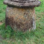 small_DSC_0566.jpg