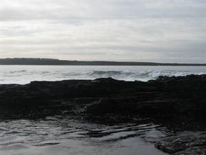 IMG_0101.JPG