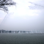 P1000778.jpg