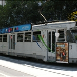 DSCN1670.jpg