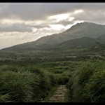 Yamingshan (May 2008)