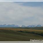 P1230290_Frame(trans_whiteline).JPG