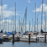 St Petersburg FL Races and Harbor 4-19-21-12 222.jpg