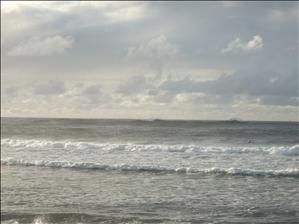 DSCF1755.JPG
