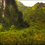 Viet Hai, Cat Ba Island