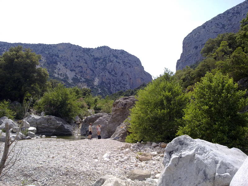 020820111125.jpg