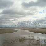 DSC00858.JPG