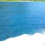 20120525_135928.jpg