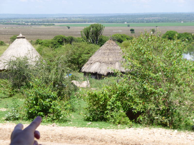 P1020391.JPG