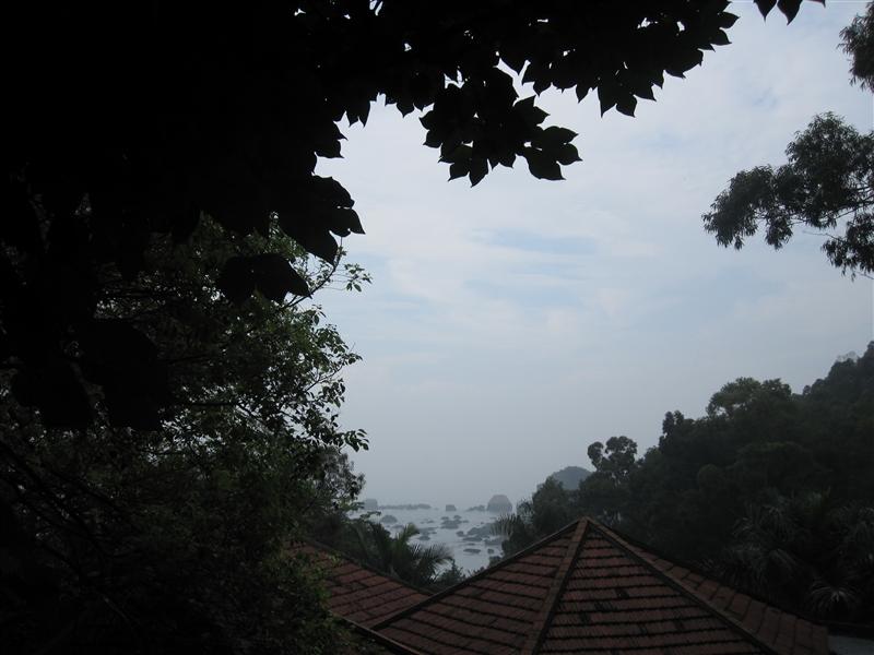 厦门漫步-11.JPG