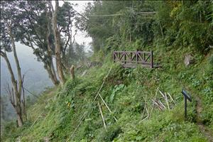 DSCN0480.jpg
