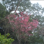 DSC08468.JPG