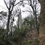 P1000795.jpg