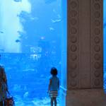 dubai_2935.jpg