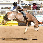 Cave Creek Rodeo 4-1-12 056.jpg