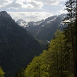 DSC_0317_3414.jpg