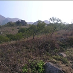 DSCN4688.jpg