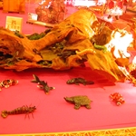 DSCN0304.JPG