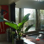 DSC07455.JPG