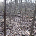 P3050007.JPG