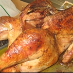 one of the turkeys!