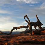 Sedona (Aug. 2008)