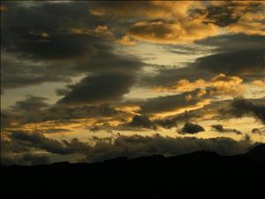 DSCN0600.jpg