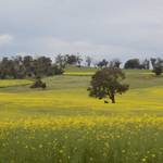 Farm_Walpole03.JPG