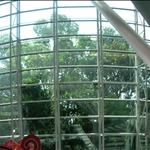 DSCN2433.JPG
